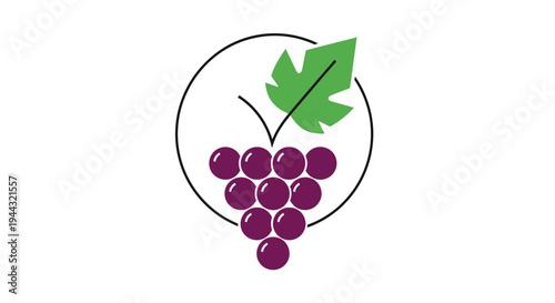 Graphic illustration of a bunch of purple grapes with a green leaf inside a circular outline, symbolizing quality or natural product.