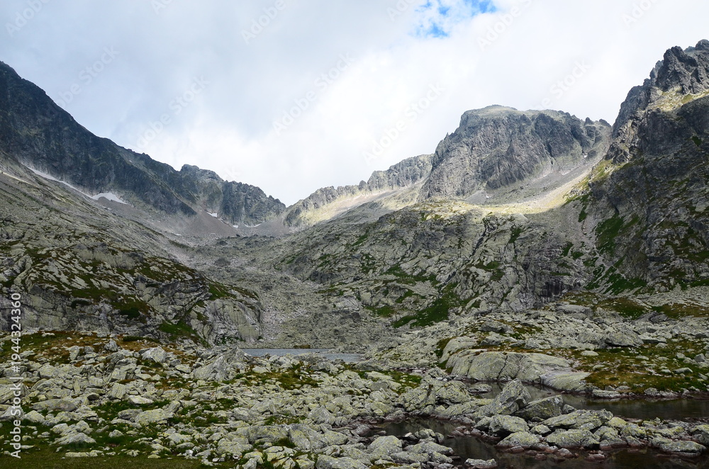 Fototapeta premium Beautiful mountain landscape with green trees under bright daylight, captured during summer in the High Tatras.