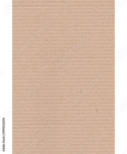 Piece of torn cardboard on a white background. Torn cardboard isolate. pedazo de carton arrugado