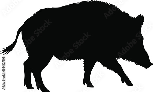 Wild boar silhouette vector, walking boar animal shape, forest wildlife pig illustration, black boar isolated, wild hog side profile, flat vector illustration