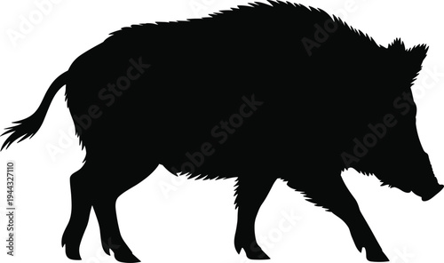Wild boar silhouette vector, walking boar animal shape, forest wildlife pig illustration, black boar isolated, wild hog side view, flat vector illustration