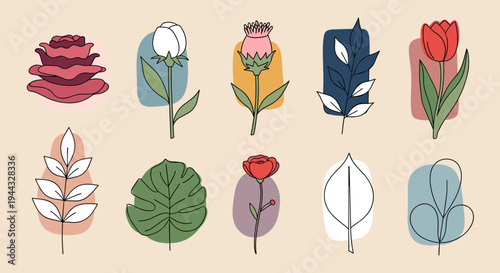 A collection of colorful floral illustrations featuring various flowers and leaves in a modern, minimalist style