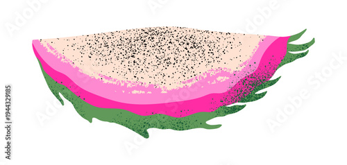 Textured illustration of half a tropical dragon fruit on an isolated background. Organic fruit for juice, smoothies or healthy snacks. Vector illustration.
