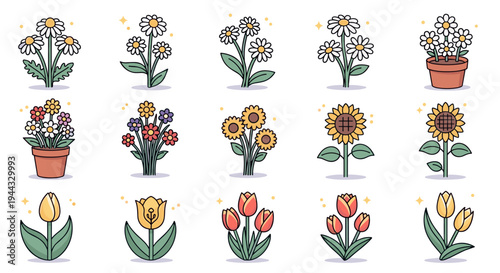 A charming collection of illustrated flowers in pots, featuring various types and styles, in a colorful, modern design