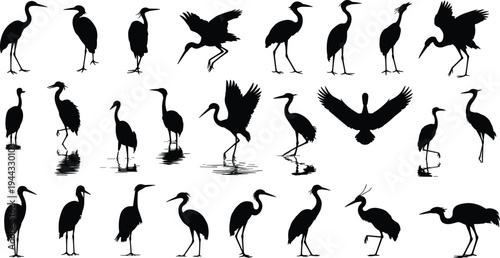 heron, crane, bird, silhouettes, set, black, wading, birds, wildlife, nature, collection, water, marsh, isolated, flying, standing, wings, animal, minimal, vector