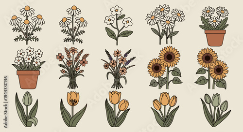 A collection of hand-drawn floral illustrations featuring various flowers and plants in a minimalist style