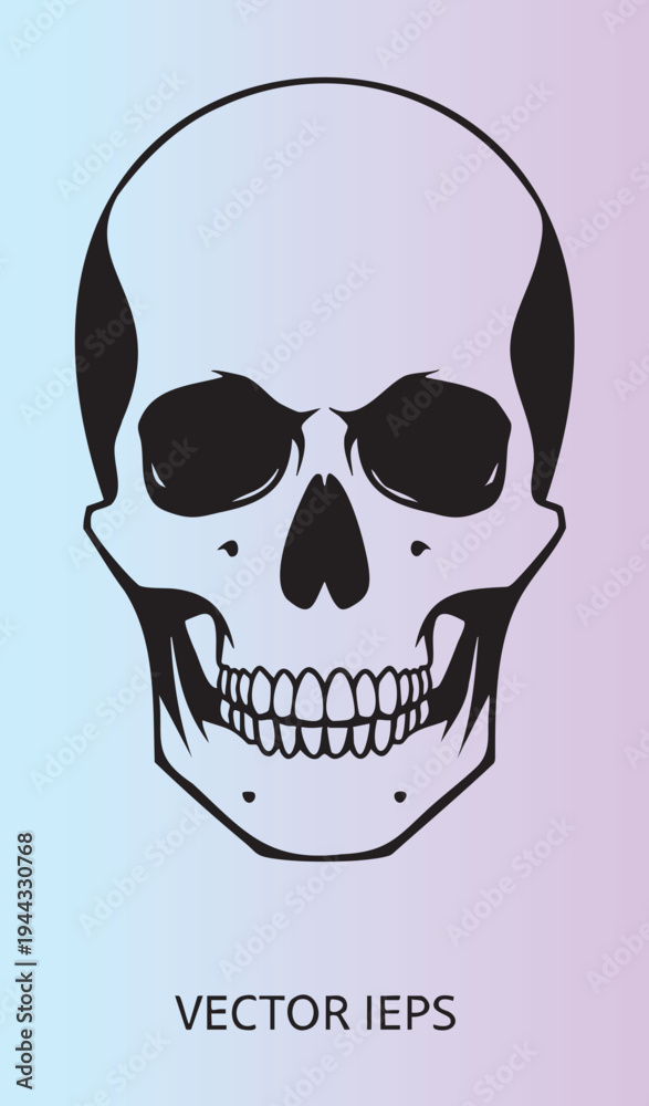 Fototapeta premium Detailed human skull illustration with shaded sides and clean design