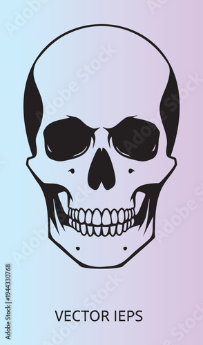 Detailed human skull illustration with shaded sides and clean design