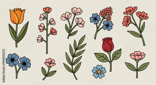 A vibrant collection of hand-drawn floral illustrations featuring various colorful flowers and leaves, ideal for design projects