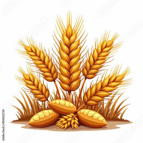 Wheat bundle agriculture illustration