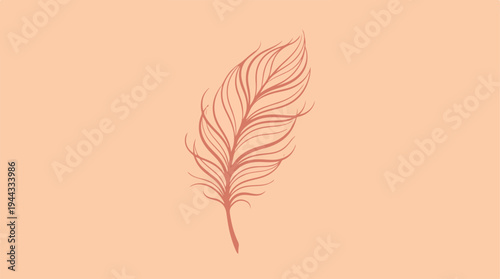 Delicate feather illustration on a soft peach background.