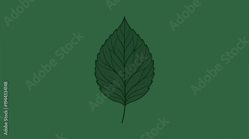 Detailed close-up of a single green leaf against a green background.
