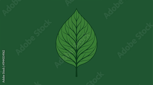Detailed green leaf illustration on a solid dark green background.