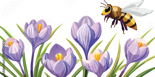 A bee flying over a crocus flower