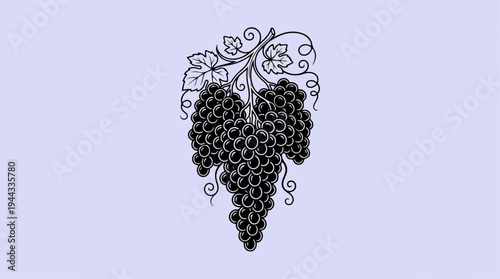 Elegant illustration of grapes with leaves, perfect for design projects.