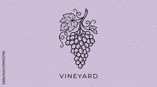 Elegant vineyard logo design featuring grapes and leaves on purple background.