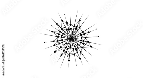 Black and white dandelion clock graphic.