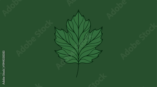 Green Leaf on a Green Background - A Detailed Botanical Study.