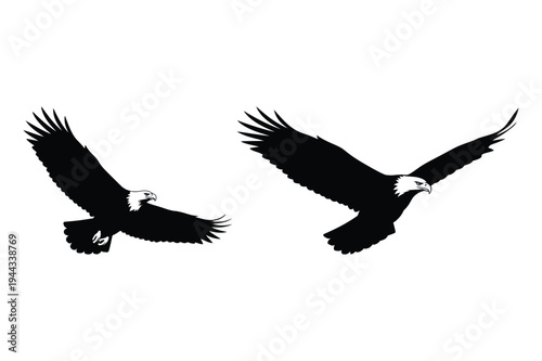 Flying eagle silhouettes, vector art