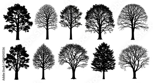 Deciduous and Coniferous Tree Silhouette Collection
