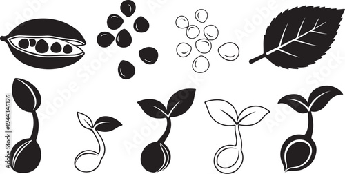 Black and white plant growth icons and seed illustrations
