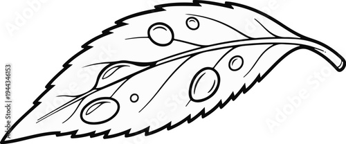 Black and white illustration of a serrated leaf with dew drops