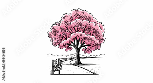 Blooming cherry tree beside a path and wooden bench in a park setting