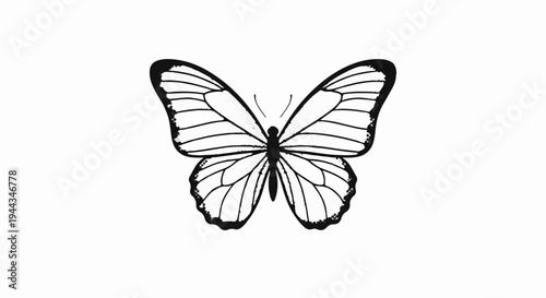 Black and white illustration of a butterfly with spread wings