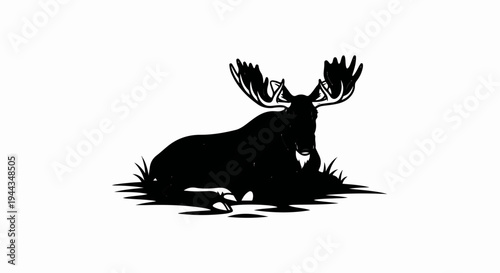 Black silhouette of a large male moose resting in grass