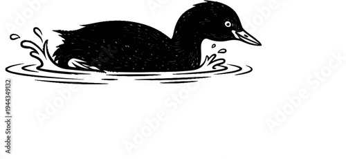 Black bird swims through water with splashes