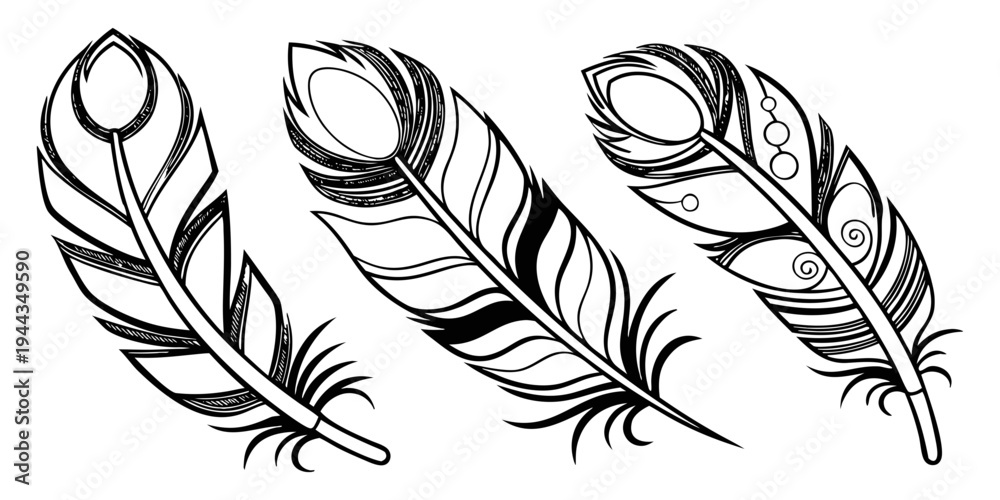 Obraz premium Three black and white feathers with intricate patterns and details