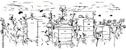 Apiary scene with beehives, flowering plants, and flying insects