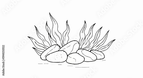 Artistic sketch of smooth stones nestled amongst flowing aquatic plants