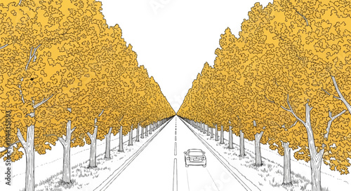 Autumn avenue with car driving down center of road
