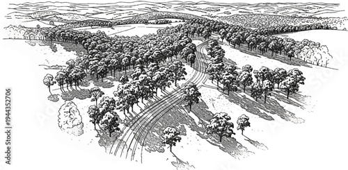 An aerial sketch of a rolling landscape with a winding path through trees