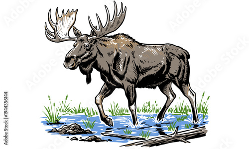 Wild Nature Spirit. Majestic Moose walking in the lake. Outdoor adventure graphic art. Wildlife exploration print design. Go outside and explore.