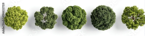 Five small, top-down trees, various shades of green, arranged on a white background