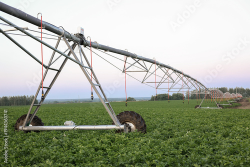 Tableau sur toile Wide view of center pivot irrigation system over green crop field, modern agriculture technology, farm water management, sustainable production