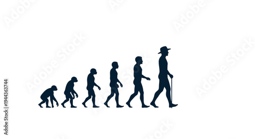 Human evolution stages from ape to modern man silhouette