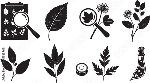Botanical illustrations of leaves and plant specimens in black
