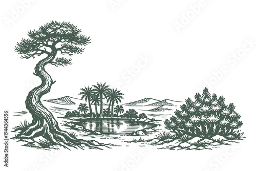 Vintage engraving style illustration of a desert oasis featuring a small pond and palm trees surrounded by arid hills for travel themes.