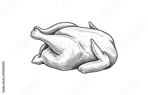 Roasted Whole Chicken Turkey Sketch Hand Drawn Culinary Illustration