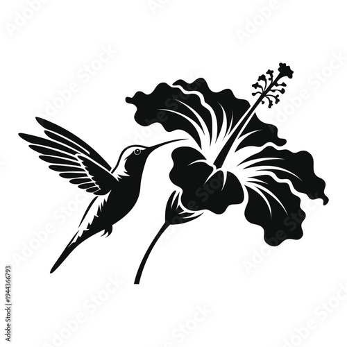 Monochrome Minimalist Hummingbird and Hibiscus Floral Illustration isolated on White Background