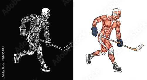 Detailed anatomical illustration of a hockey player's muscular system in action, presented in both black and white and colored versions.