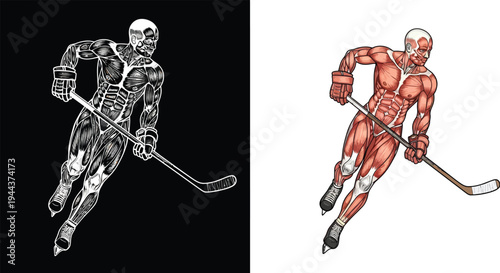 Detailed anatomical illustrations of a hockey player's muscular system in action, showing the body's structure during ice skating.