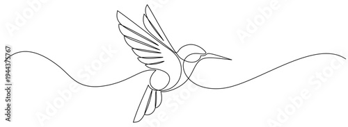 Line art vector illustration of a flying bird