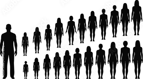 Human body growth stages silhouettes set showing male and female height development from child to adult isolated on white background