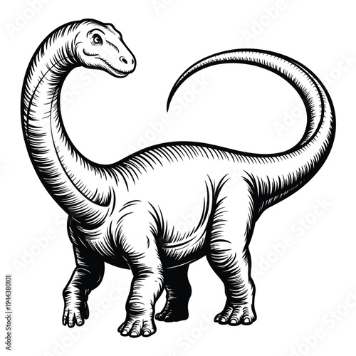 A detailed black and white illustration of a long necked sauropod dinosaur