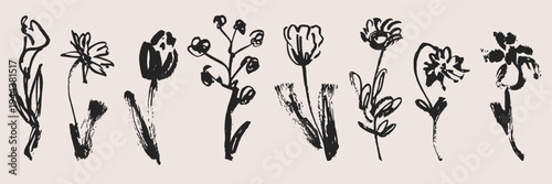 Collection of organic hand drawn meadow flowers and leaves. Expressive botanical ink illustrations for rustic wedding design and creative natural projects.