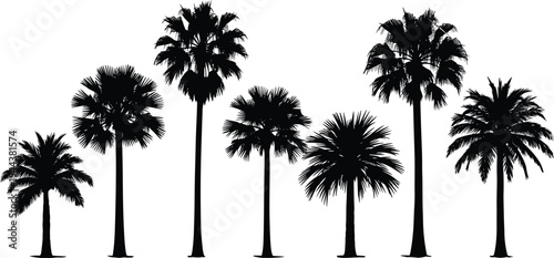 Tropical Palm Tree Silhouettes Set, Featuring Diverse Exotic Coconut, Date, and Fan Palms for Summer Beach, Vacation, Island Paradise, and Nature Landscape Vector Illustration